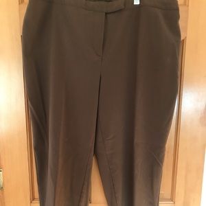 Avenue Brown Women's Pants